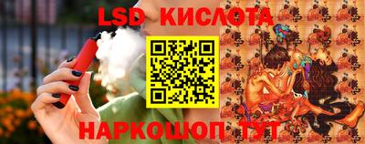 МДПВ Бердск