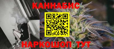 МДПВ Бердск