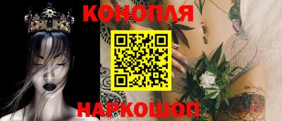 МДПВ Бердск