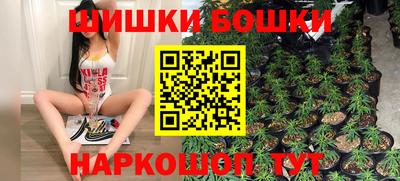 МДПВ Бердск