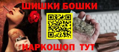МДПВ Бердск